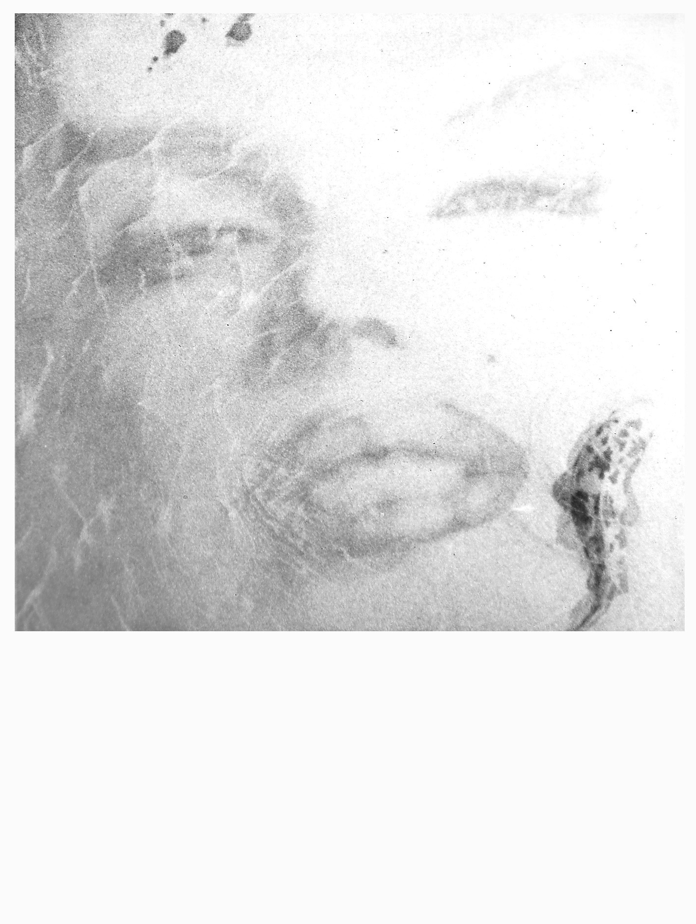 1990- Marilyn bajo el agua